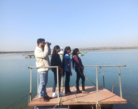 Bird Watching Activity